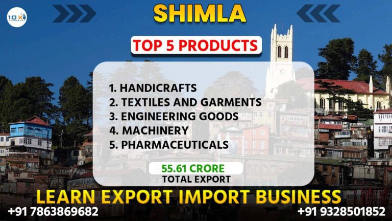 Beat import export course in Shimla