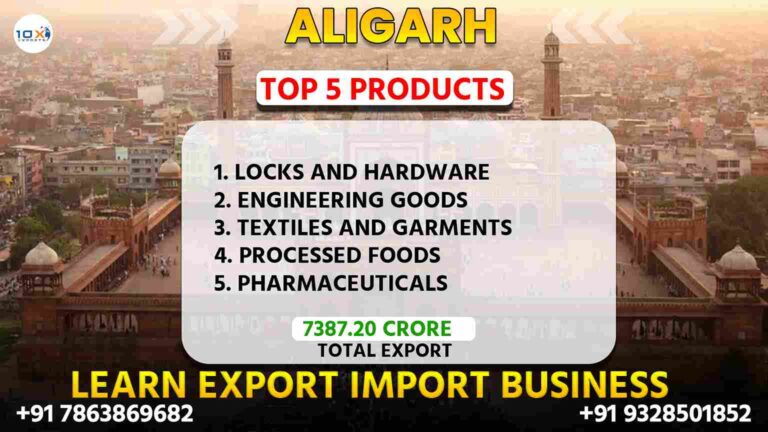 Best import export course in Aligarh