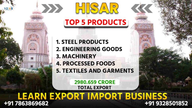 Best import export course in Hisar