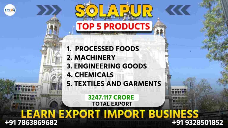 Best import export course in Solapur