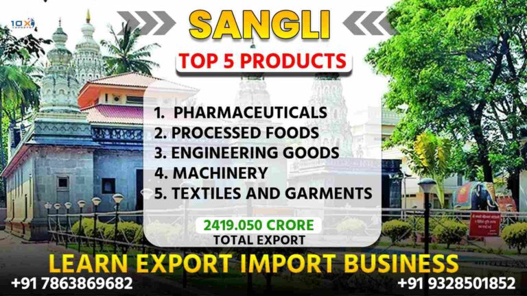 Best import export course in Sangli